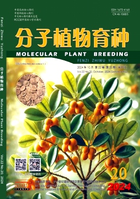 分子植物育种封面